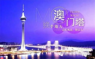 新澳2024资料大全免费澳门传真|未来科技探索之旅_优选版.3.801