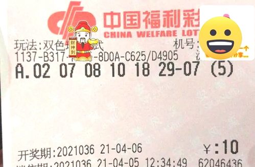 2024澳门码今晚开奖结果|探索澳门的无限魅力与精彩活动_潜能版.3.716