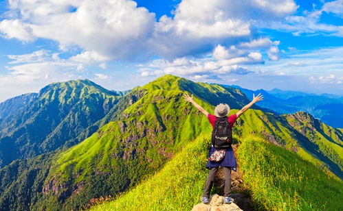 登山我最强城镇叠叠乐下载-登山我最强中文下载手机版v.3.25