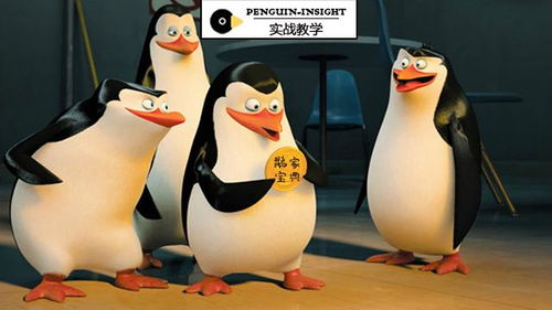 企鹅兄弟2024下载-企鹅兄弟无广吿免费下载v.2.69